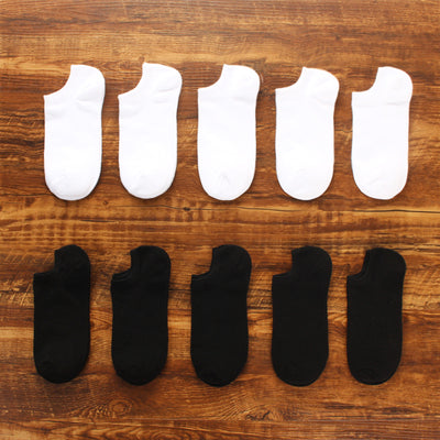 Importé - Lot de 5 Paires de Chaussettes Sport 100% Coton