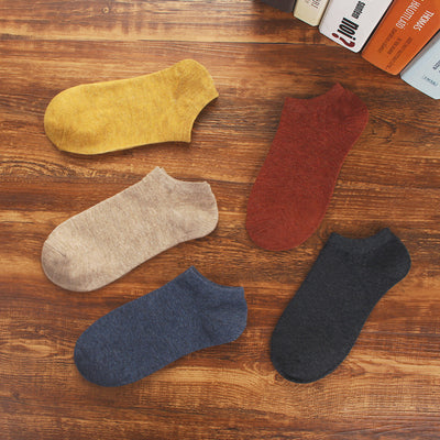 Importé - Lot de 5 Paires de Chaussettes Sport 100% Coton