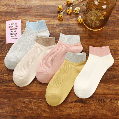 Importé - Lot de 5 Paires de Chaussettes Sport 100% Coton