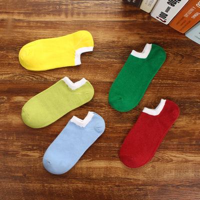 Importé - Lot de 5 Paires de Chaussettes Sport 100% Coton
