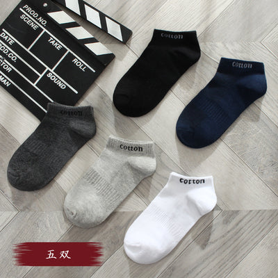 Importé - Lot de 5 Paires de Chaussettes Sport 100% Coton