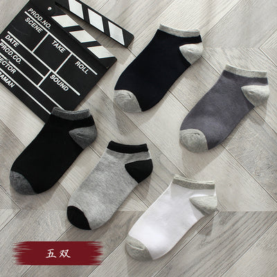 Importé - Lot de 5 Paires de Chaussettes Sport 100% Coton