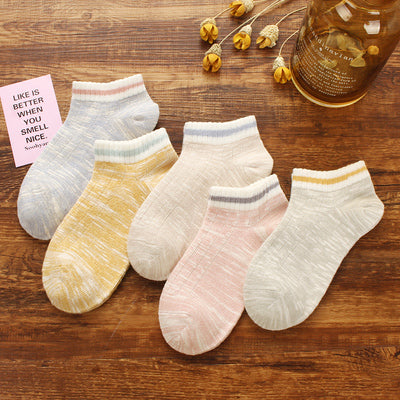 Importé - Lot de 5 Paires de Chaussettes Sport 100% Coton