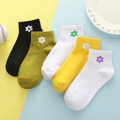 Importé - Lot de 5 Paires de Chaussettes Femme  Sport 100% Coton Tendance