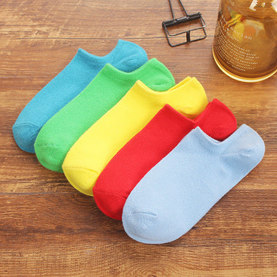 Importé - Lot de 5 Paires de Chaussettes Sport 100% Coton Tendance