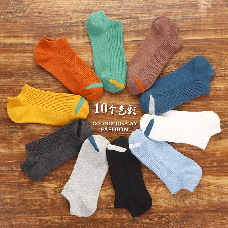 Importé - Lot de 5 Paires de Chaussettes Sport 100% Coton