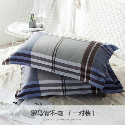 Importé - Paire de Taie d'oreiller 100% Coton Antarctique