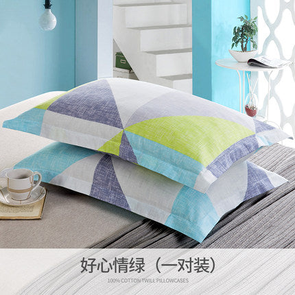 Importé - Paire de Taie d'oreiller 100% Coton Antarctique