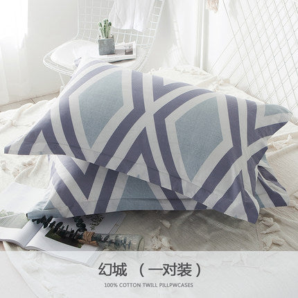Importé - Paire de Taie d'oreiller 100% Coton Antarctique