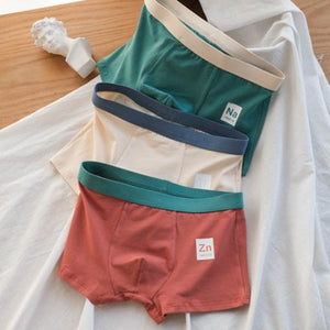 Importé - Pack de 3 Boxer Slim Homme Sous-vêtements confortable