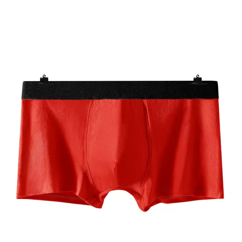 Importé - Boxer Sports Homme Sous-Vêtements En Coton