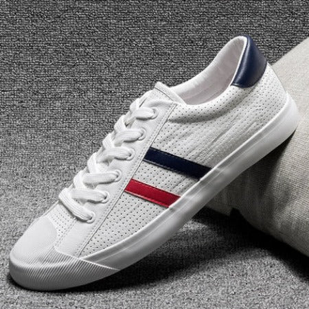 Importé - Chaussure Homme Sport Basket  En Toile