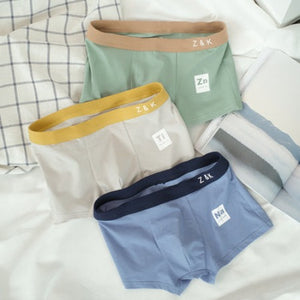 Importé - Pack de 3 Boxer Mi-Taille  Rétro Homme Sous-vêtements En Coton