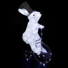 NOEL-LAPIN A VELO LUMINEUX-8 FONCTIONS-BLANC FROID