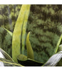Plante Artificielle Tigridia Dans Un Pot Noir-20 Cm